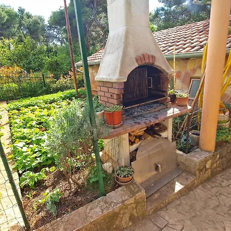 Appartement Fuer 4 Personen Ca 36 Qm In Pula, Istrien Istrische Riviera *